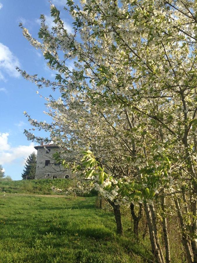 Agriturismo La Commenda-Adults Only 卡夏 外观 照片